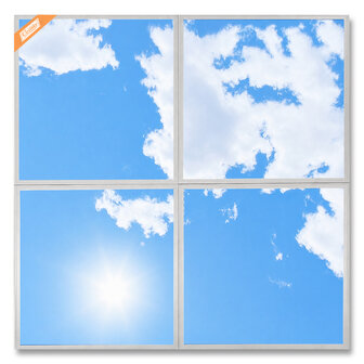 Basic LED-Wolkenhimmel 60x60 cm 4 teilig