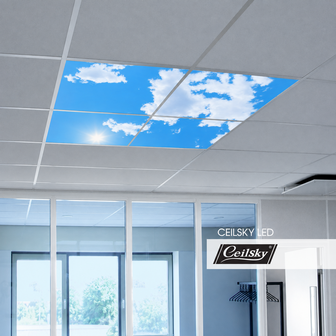 Basic LED-Wolkenhimmel 60x60 cm 4 teilig