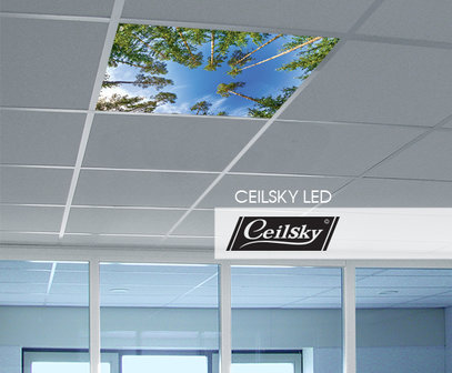 LED-Wolkenhimmel / Wolkendecke 1 Panel Einbau 60x60 / 62x62