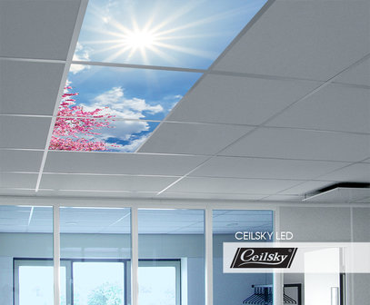 LED-Wolkenhimmel / Wolkendecke 3 Panels Einbau 60x60 / 62x62
