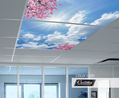 LED-Wolkenhimmel / Wolkendecke 3 Panels Einbau 120x60 / 125x62