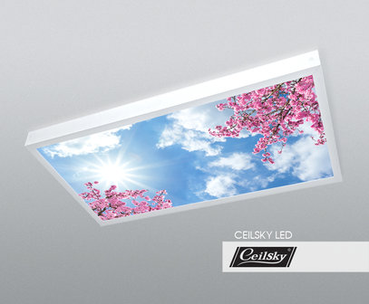 LED-Wolkenhimmel / Wolkendecke 1 Panel Aufbau 120x60