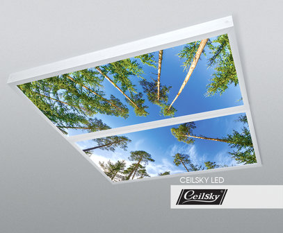 LED-Wolkenhimmel / Wolkendecke 2 Panels Aufbau 120x60