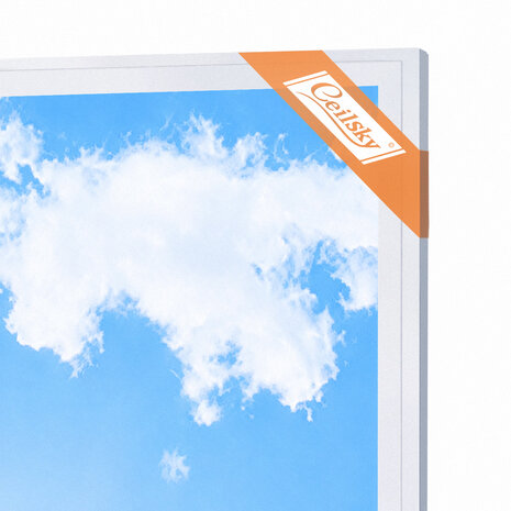 Basic LED-Wolkenhimmel 60x60 cm 4 teilig