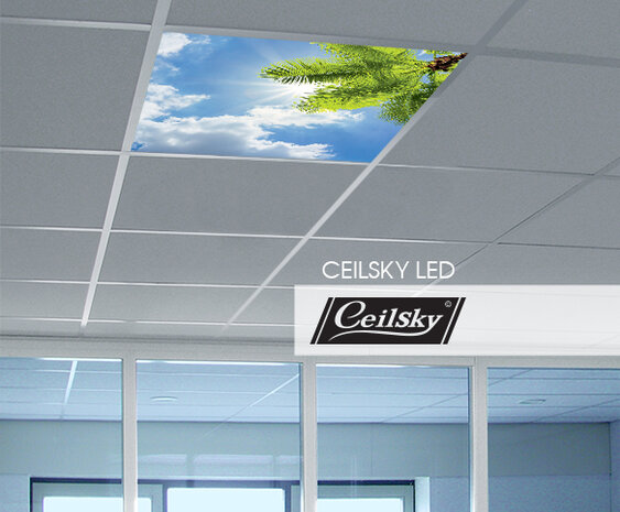 LED-Wolkenhimmel / Wolkendecke 1 Panel Einbau 60x60 / 62x62