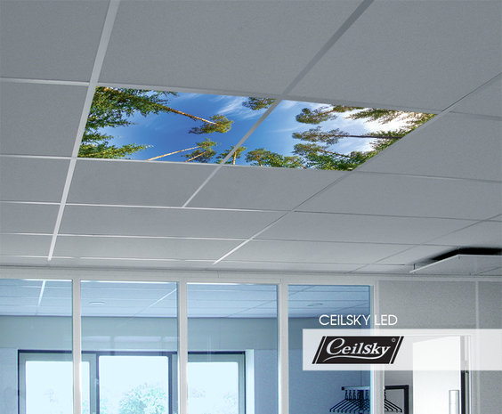 LED-Wolkenhimmel / Wolkendecke 2 Panels Einbau 60x60 / 62x62