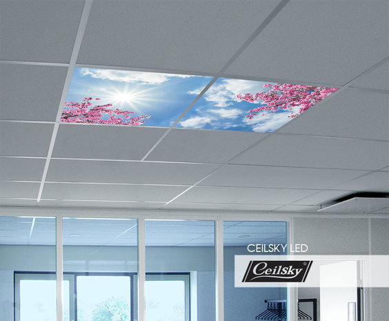 LED-Wolkenhimmel / Wolkendecke 2 Panels Einbau 60x60 / 62x62
