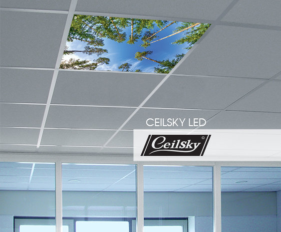 LED-Wolkenhimmel / Wolkendecke 1 Panel Einbau 60x60 / 62x62