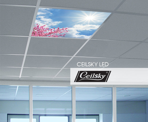 LED-Wolkenhimmel / Wolkendecke 1 Panel Einbau 60x60 / 62x62