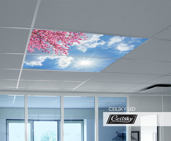LED-Wolkenhimmel / Wolkendecke 2 Panels Einbau 120x60 / 125x62