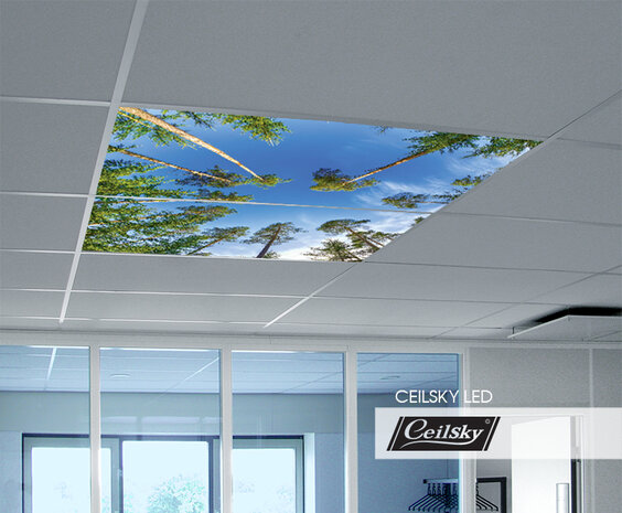 LED-Wolkenhimmel / Wolkendecke 2 Panels Einbau 120x60 / 125x62