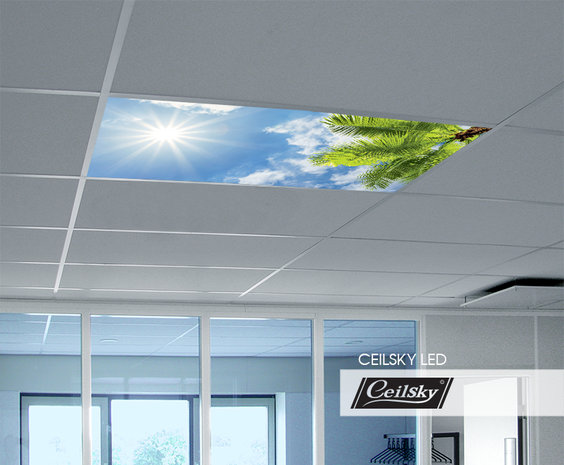 LED-Wolkenhimmel / Wolkendecke 1 Panel Einbau 120x60 / 125x62