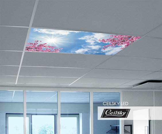 LED-Wolkenhimmel / Wolkendecke 1 Panel Einbau 120x60 / 125x62
