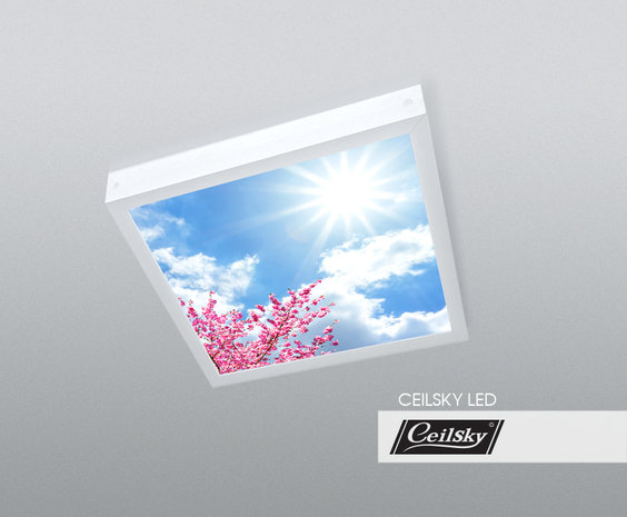 LED-Wolkenhimmel / Wolkendecke 1 Panel Aufbau 60x60