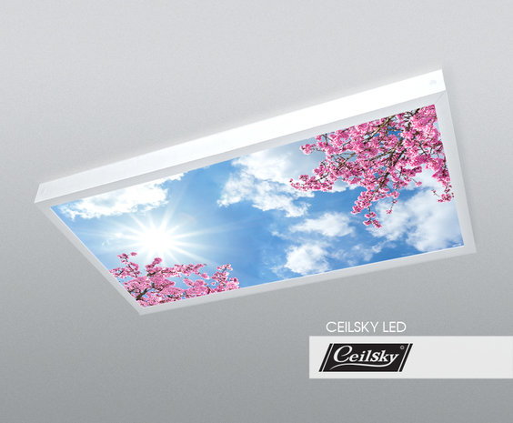 LED-Wolkenhimmel / Wolkendecke 1 Panel Aufbau 120x60