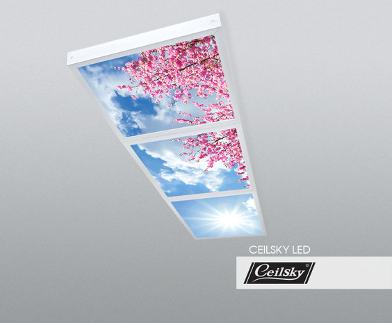 LED-Wolkenhimmel / Wolkendecke 3 Panels Aufbau 60x60