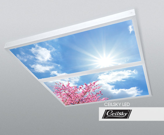 LED-Wolkenhimmel / Wolkendecke 2 Panels Aufbau 120x60