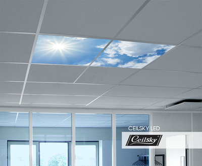 LED-Wolkenhimmel / Wolkendecke 2 Panels Einbau 60x60 / 62x62